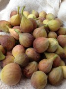 Figs